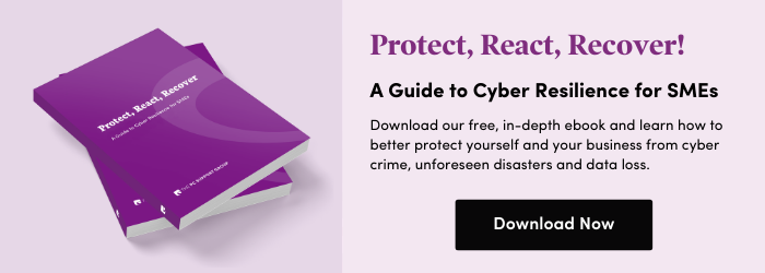 Free Guide to Cyber Security for SME's.  Just a part of the backup jigsaw.
